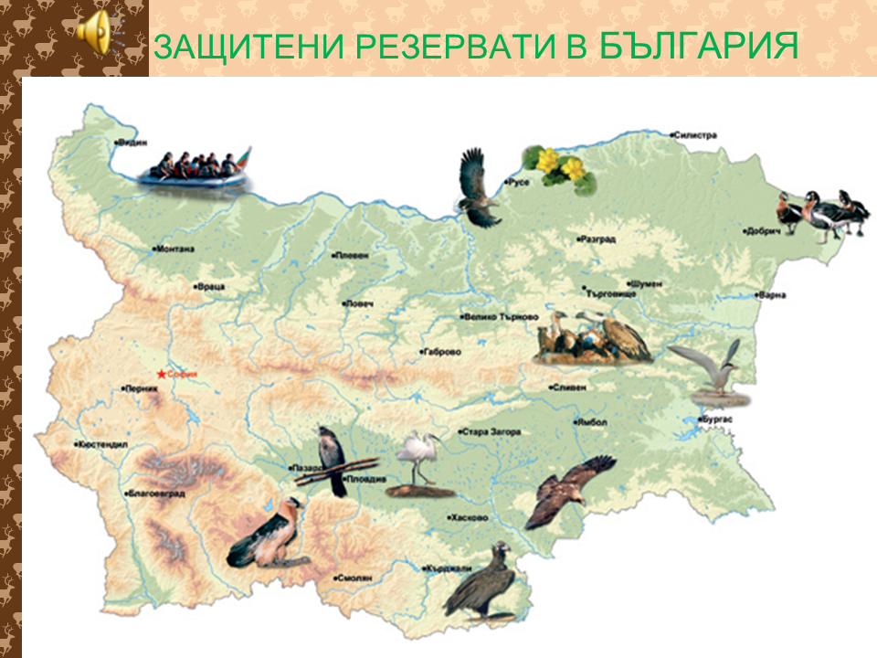 Природни резервати с растителна защита.png